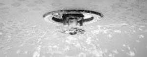 sprinkler2